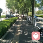 易蓉的头像
