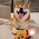 倾听你的心声的头像