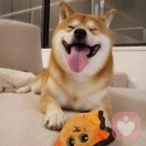 倾听你的心声倾听者