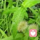 在细雨中呼喊着青春的头像