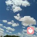 生如夏花的头像