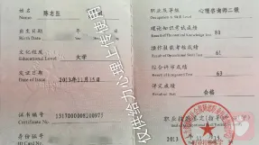 国家心理咨询师认证