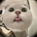 安然