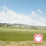 光年之外的头像