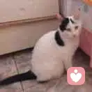 执着的风的头像