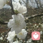 深冬®迹曦™的头像