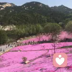 墨香蓝蝶的头像