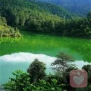 树洞