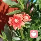 ？姐的温柔？你不配的头像