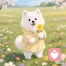 笙笙IP的头像