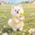 笙笙IP
