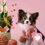 冰是睡着的水的头像