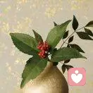 明天会更好的头像