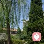 寒潇品乐的头像