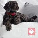 旭日东升的头像