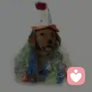 金鱼的忧伤的头像