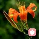 桥桥美味小零食18961024155的头像