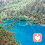 葬爱的桃花的头像