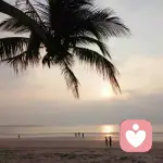 邱淼咨询师的头像