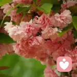 on	the	way！的头像