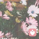 小小小鱼的头像