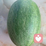 余生只有你的头像