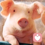 小姐姐呢的头像