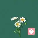 人生若只如初见的头像