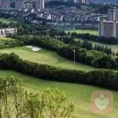 无忌(用心聆听你的故事)