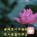 倾愈（我在倾听中陪伴您，疗愈您）的头像