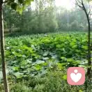 Nevergiveup的头像