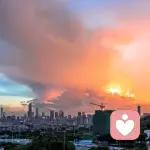 嘻嘻嘻大白白的头像