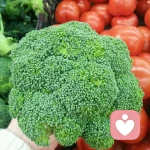 树洞大大的头像