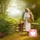 亚拿老师的头像