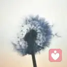 轮回少年的头像