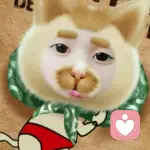 本宫不休的头像