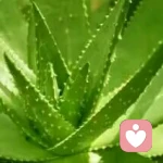 叫我姐姐！的头像