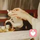 凤凰涅槃的头像