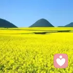 の︷.miss千华的头像