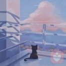 沈悦
