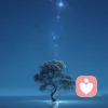 海之语的头像