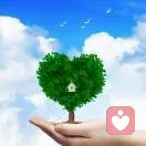 温暖的光的头像