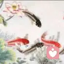 心若初晴的头像