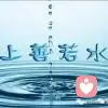 上善若水的头像