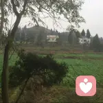 庸人自扰。的头像