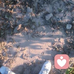 真不知道取什么名字好的头像