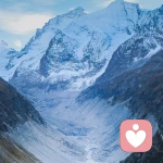 流浪人生的頭像