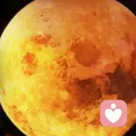 在等你啊，朋友的头像