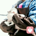 乖乖﹀女的头像