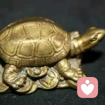 (☆玲☆)的头像